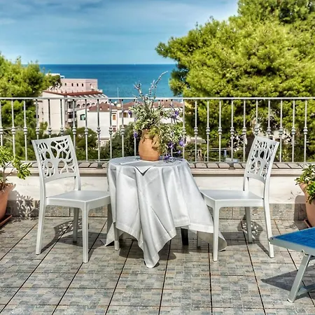 Pineta Hotel 3*