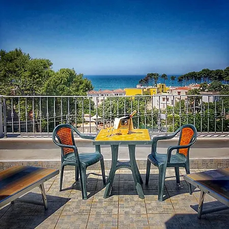 Pineta Hotel 3*